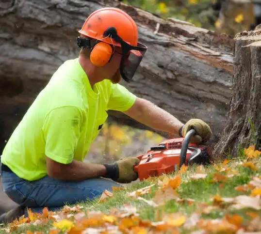 tree services Maringouin